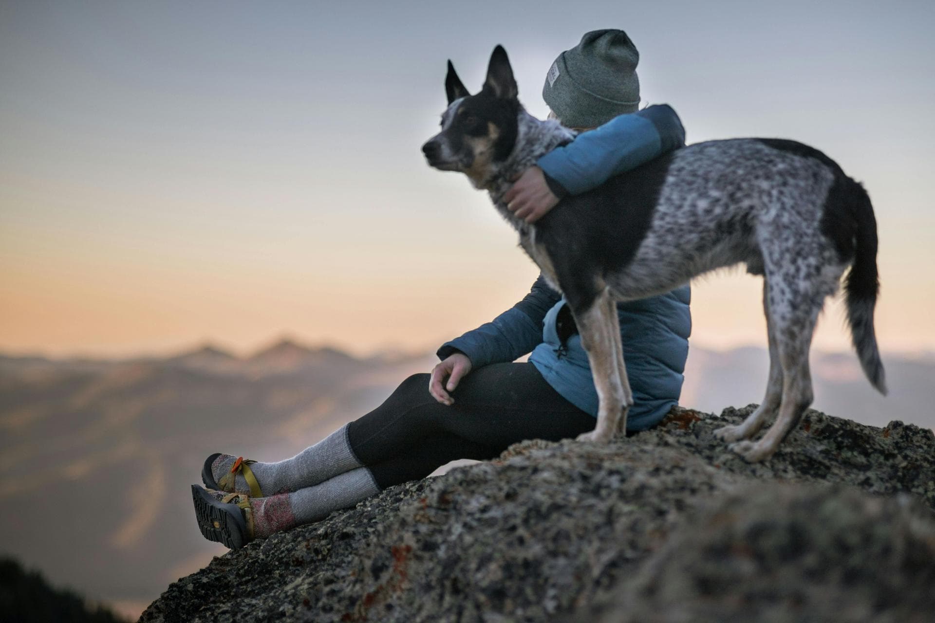 Farm & Large-Animal Vets near Anchorage