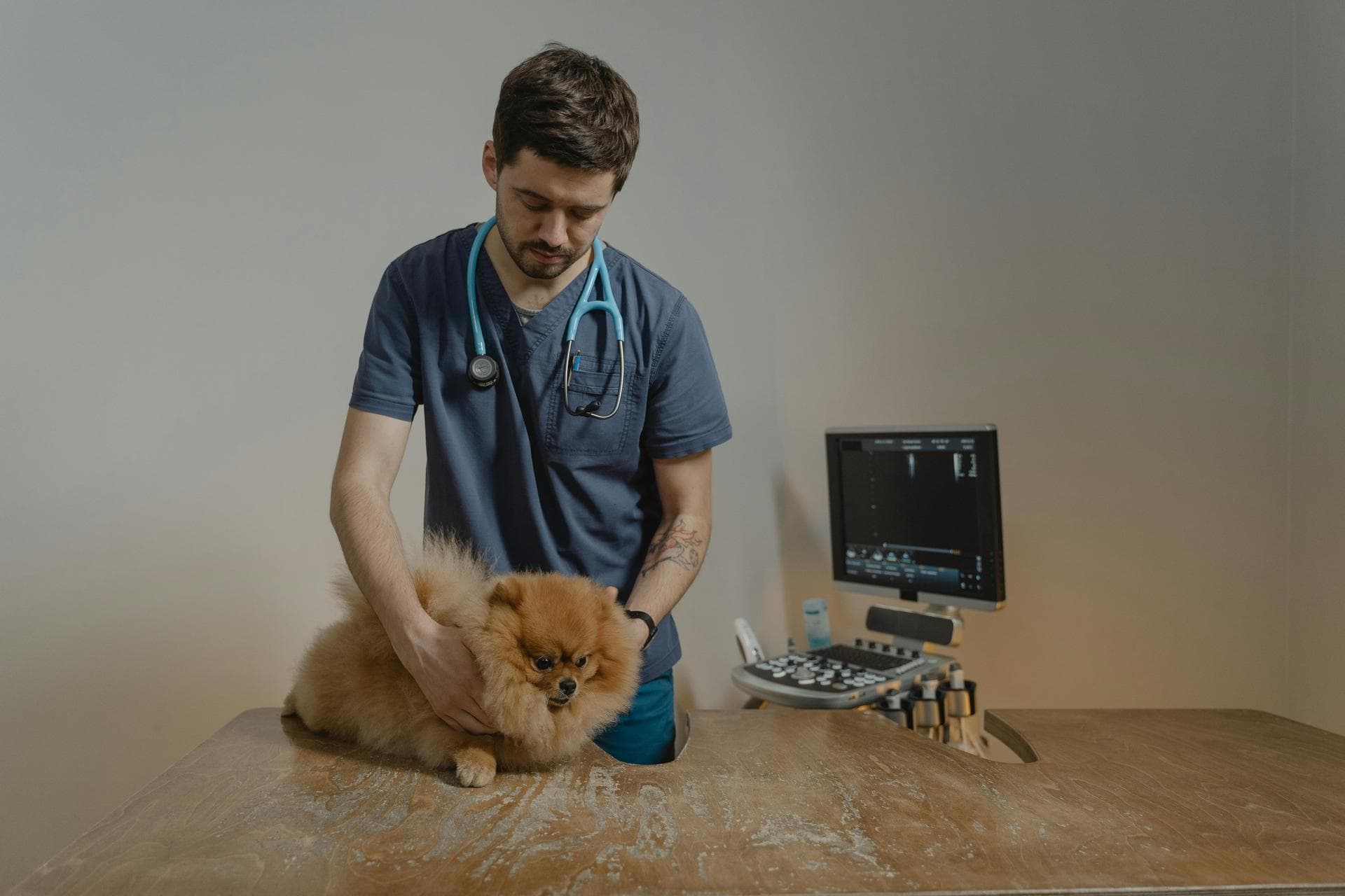 Specialist Vets in Anchorage
